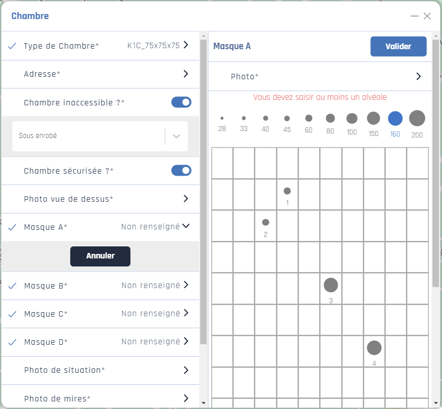 Masque Web Masque Web